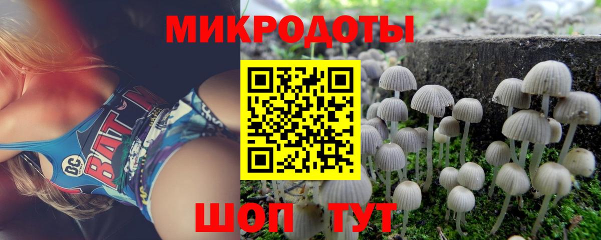 Галлюциногенные грибы мухоморы  Вход с VPN  Менделеевск 